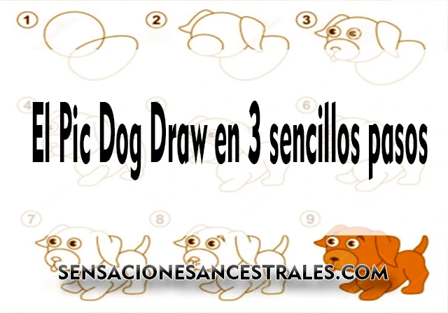 El Pic Dog Draw en 3 sencillos pasos